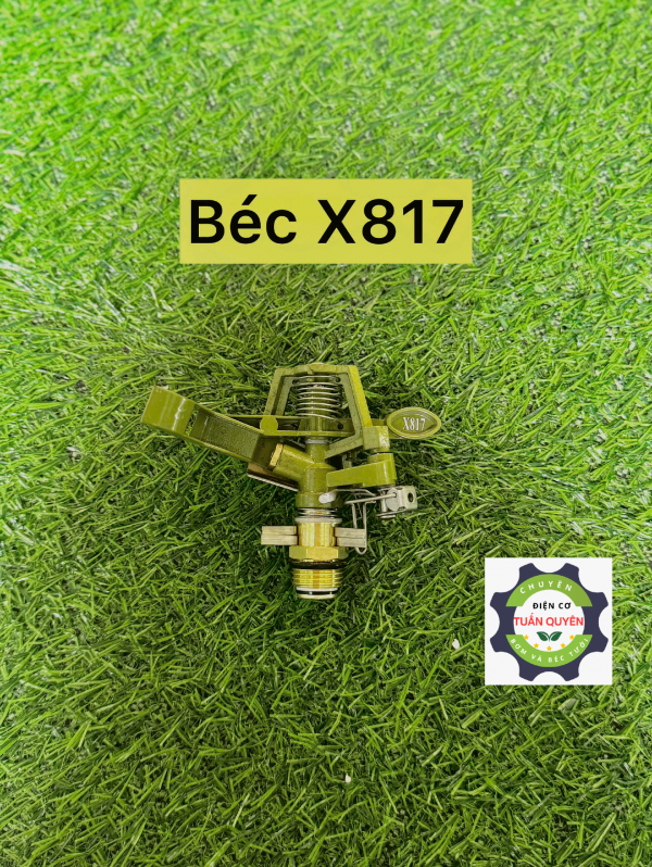 X817