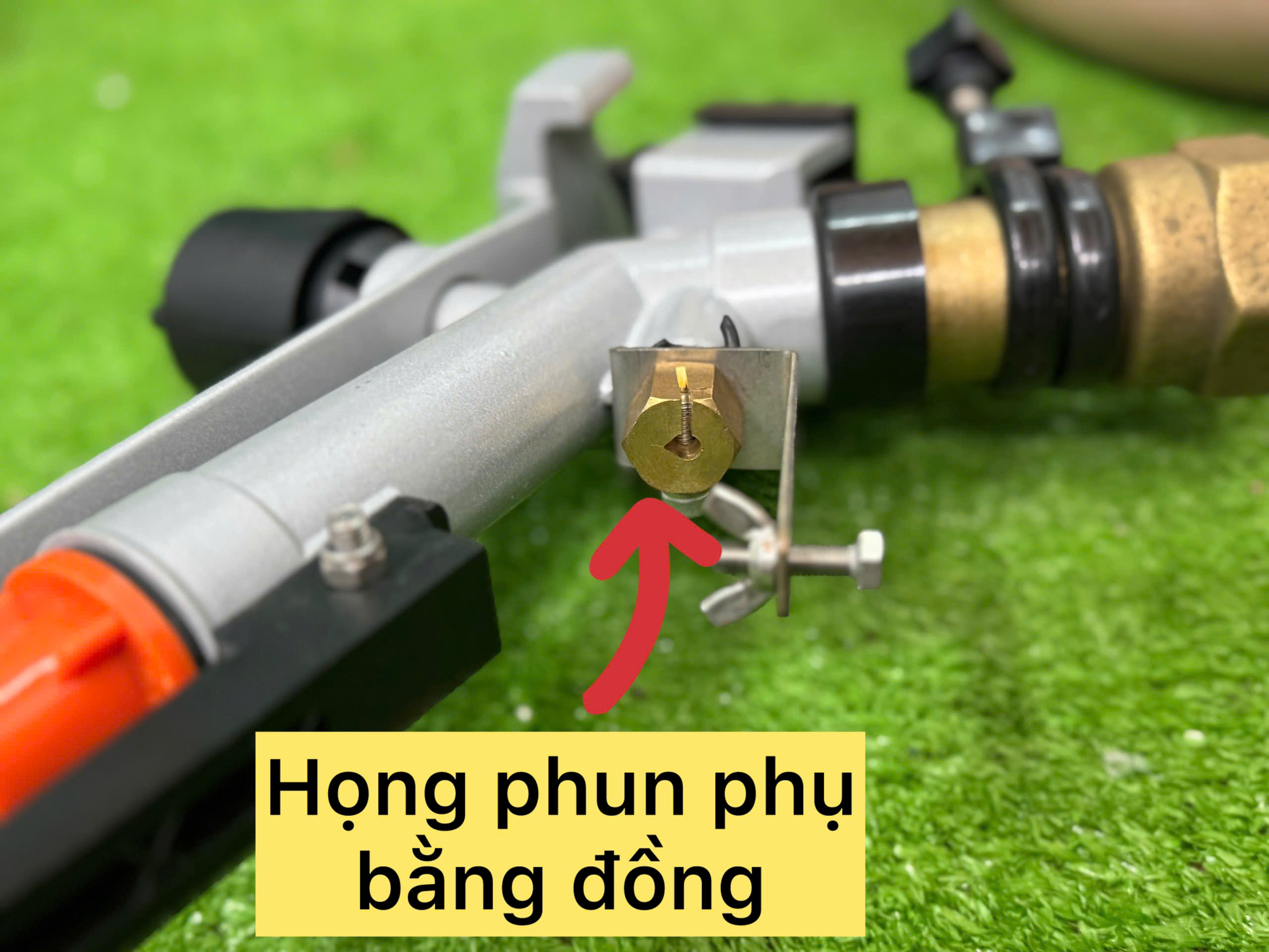 z6975695368438 fc173f54d2814428e41b515562709acc