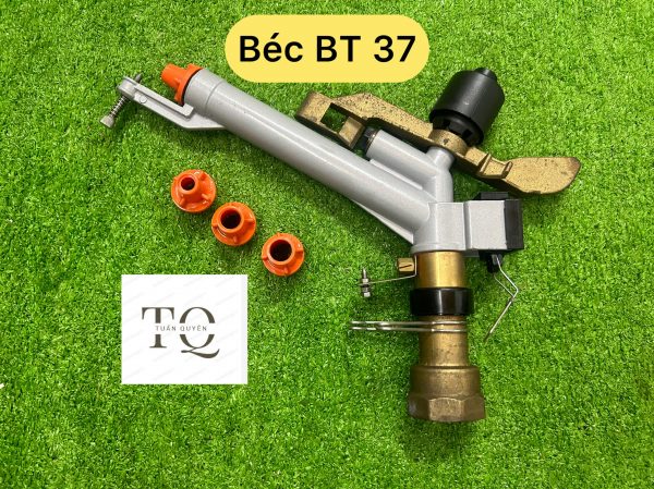 bec 37
