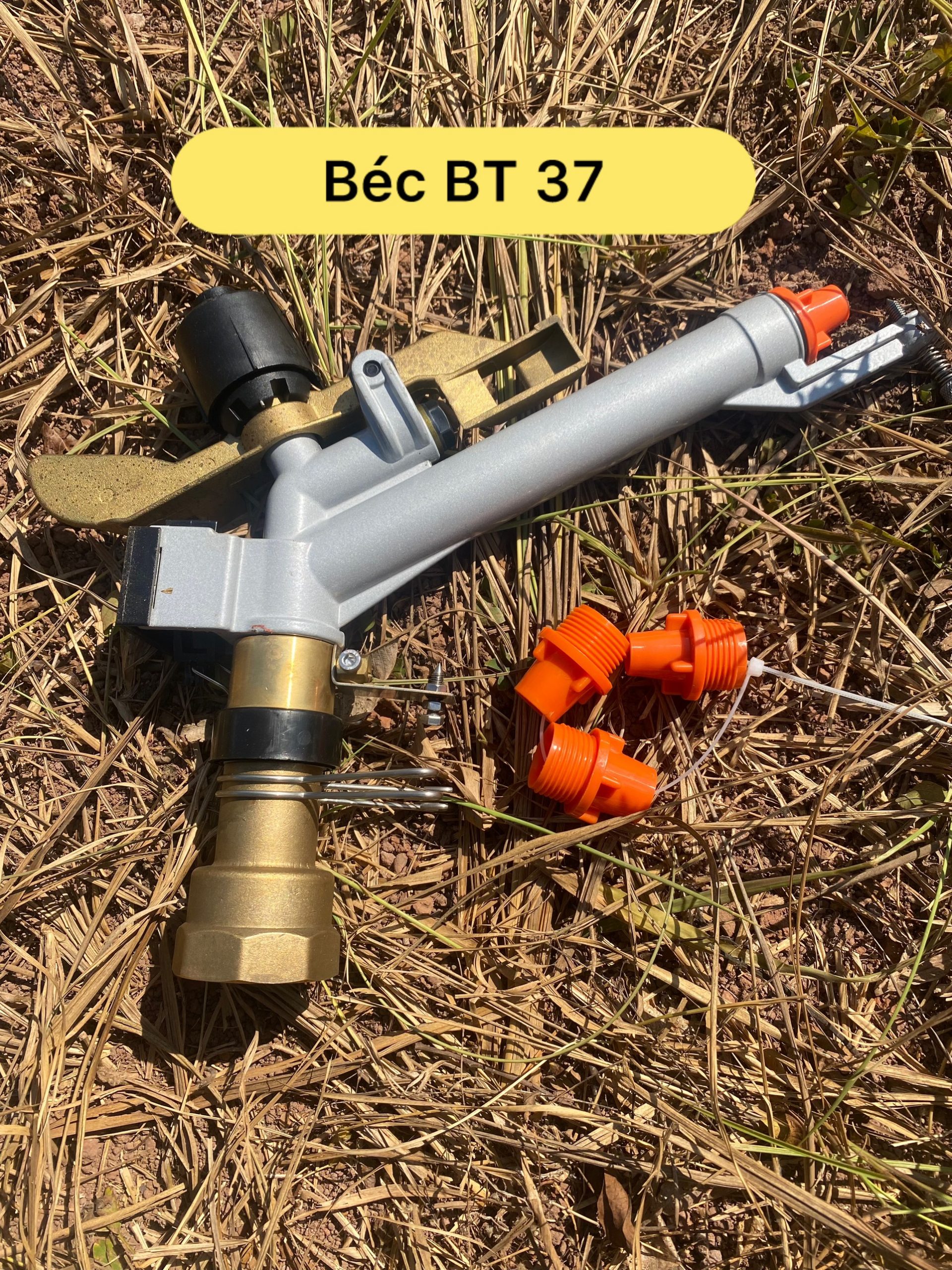 bt37 scaled